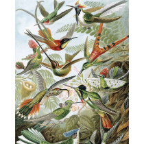 KEK Wallpaper Panel, Exotic Birds-8719743885721-20
