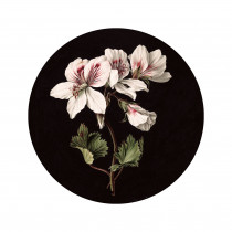 KEK Wallpaper Circle, White Flowers diameter van 142,5-8719743888340-20
